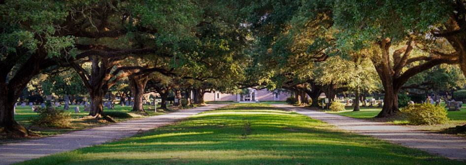 A road to peace at Roselawn Memorial Park