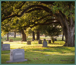 Roselawn Memorial Park Cemetery