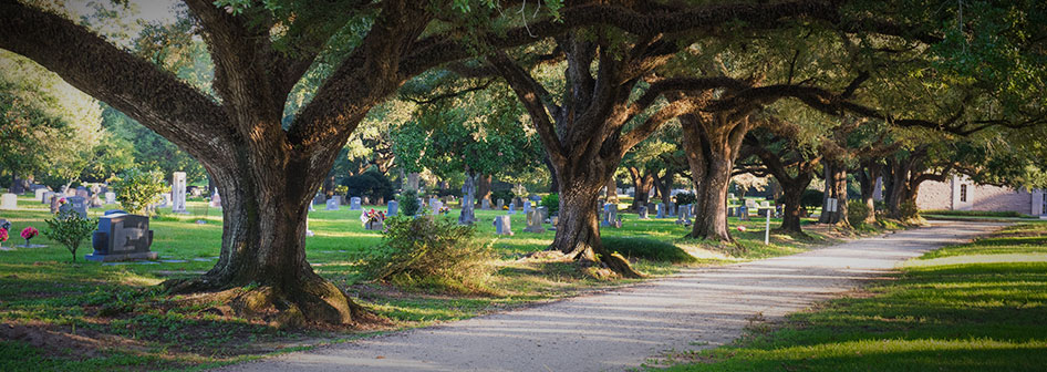 The Cemetery Grounds at Roselawn Memorial Park