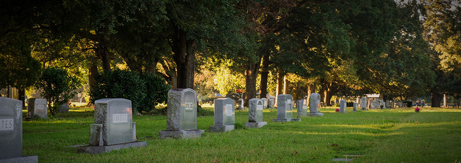 Rows of headstones in Roselawn Memorial Park